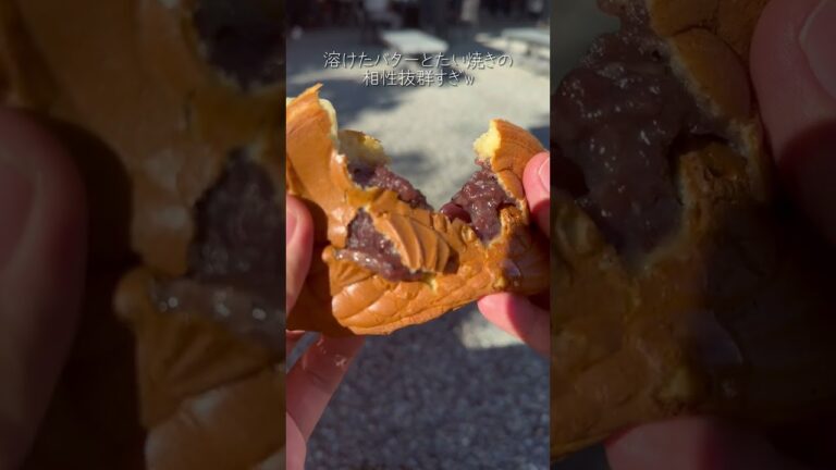 【京都グルメ】京都の超人気観光スポットの嵐山きたから食べ歩き8選を紹介！