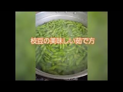 枝豆の本当に美味しい茹で方！ #shorts