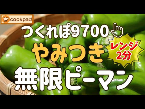 ヤバ旨！モリモリ∞に食べられる🌟『やみつき無限ピーマンの作り方』レンジでめっちゃ簡単💖美味しいヘルシー時短手抜き野菜料理 シーチキン お弁当 おつまみ みんなが大絶賛🌟クックパッド超人気神レシピ