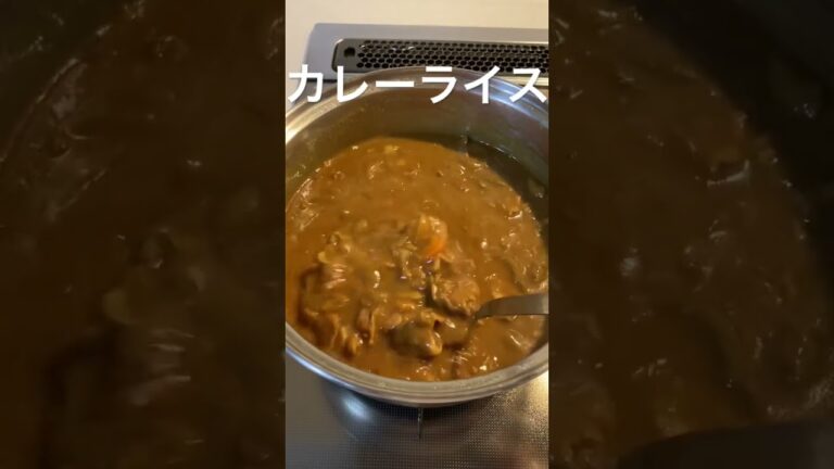 【みんな大好き】カレーライス#howyoulikethat #カレーライス