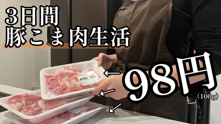 【節約レシピ】豚こま肉メインの3日間【食費月2万円】