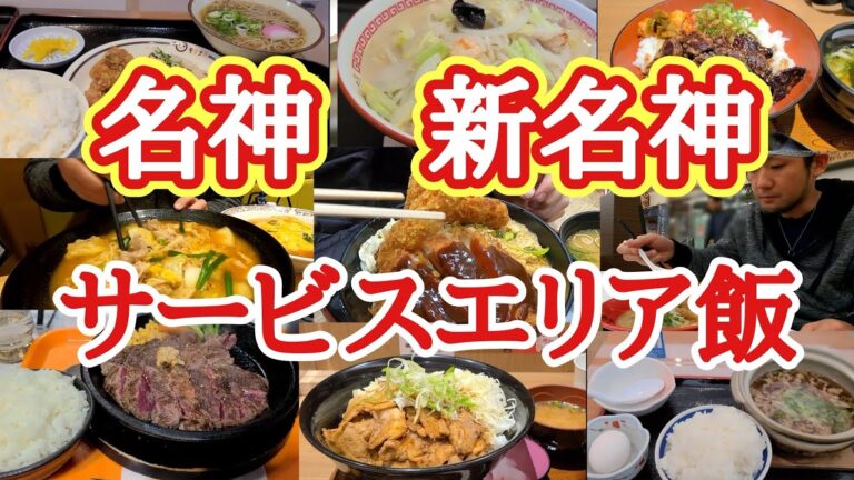【総集編】名神、新名神、サービスエリア飯！大盛、飯テロ、長距離トラック運転手が喰らうガッツリ飯！【Japanese truck driver meals】