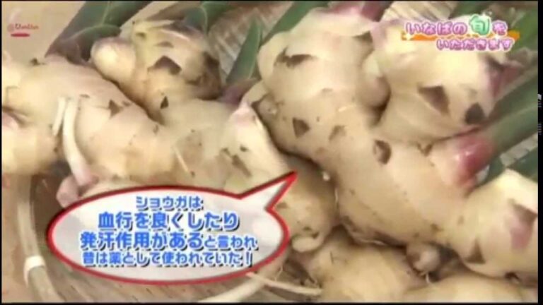 【JA鳥取いなば】ショウガと昆布の佃煮の作り方