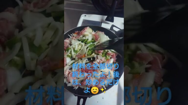 【料理】ピーマンと玉ねぎとニンジンとナスとお肉の炒め物
