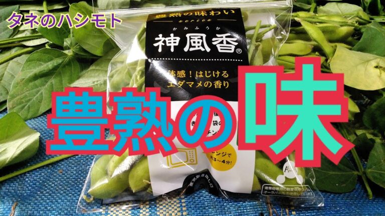 美味しい枝豆《簡単調理方法》教えます！豊熟のエダマメ　タネのハシモト