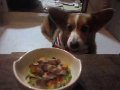 2013 6 30　豚軟骨のクスクス