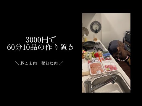 【3000円】ズボラ女が60分で10品の作り置き