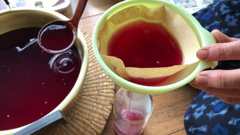 #17 我が家の紫蘇ジュースレシピ