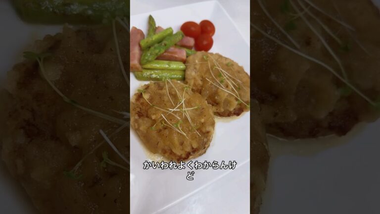 4児ママ〜絶品豆腐ハンバーグ〜