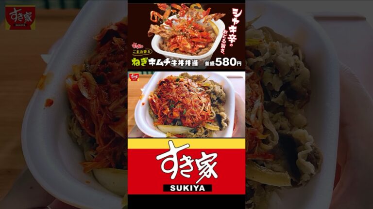 【ピリ辛】すき家 ごま油香る ねぎキムチ牛丼