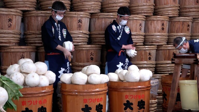 千枚漬け作りが本格化