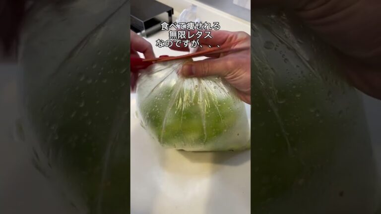 【-25kg痩せ】無限キャベツまじで止まりません🤤✨