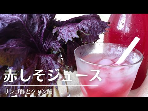 甘酸っぱい赤しそジュース😆リンゴ酢とクエン酸で夏バテ予防