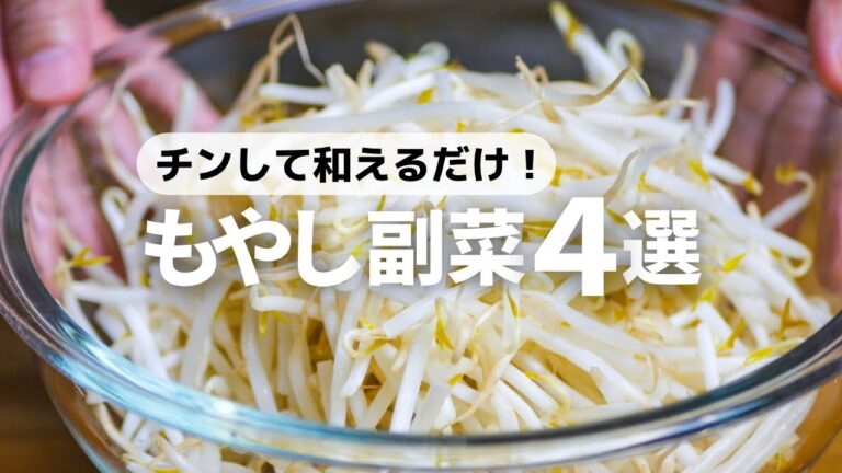 【包丁いらず】5分以内に作れる！簡単時短もやしレシピ4品