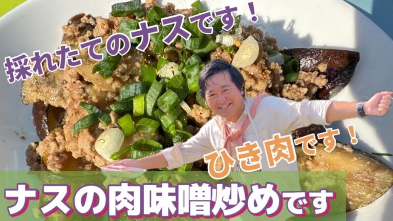 【ナスの肉味噌炒め】採れたてのナスと挽き肉で簡単料理！