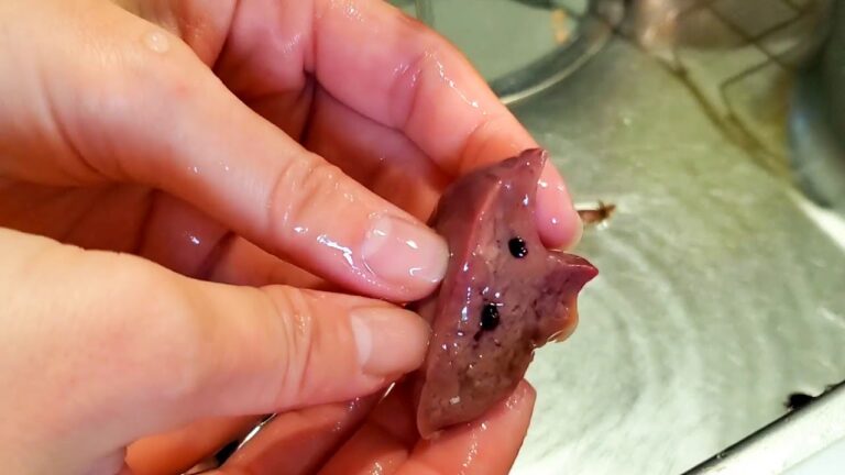 これで完璧！鶏レバーとハツの下処理