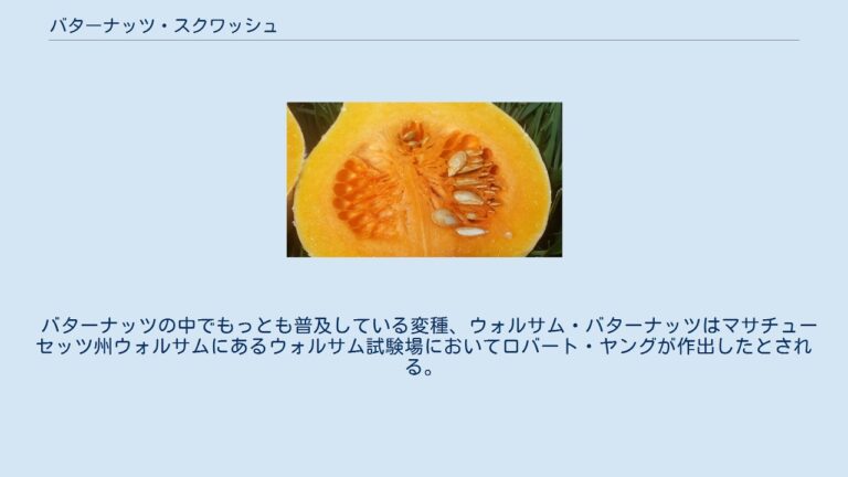 バターナッツ・スクワッシュ