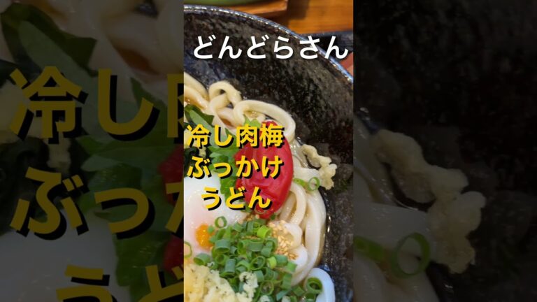 暑い日に最適！　冷し肉梅ぶっかけうどん　どんどらさん　830円