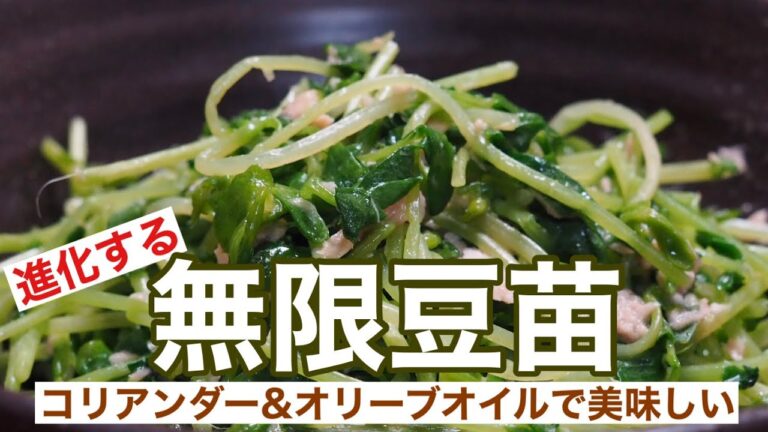 【無限豆苗レシピ】栄養◎ コリアンダー・オリーブオイル・ツナで無限豆苗の変化球Ver.