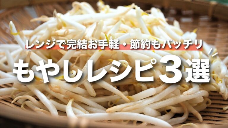 【もやしレシピ】安くて簡単！全てレンチンで出来る節約もやしレシピ3選【節約レシピ】【今日のあと一品】