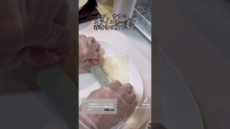 10万回再生⁉️1番簡単なささみチーズ春巻きの作り方 #ショート #shorts #ライフハック #lifehacks #簡単レシピ