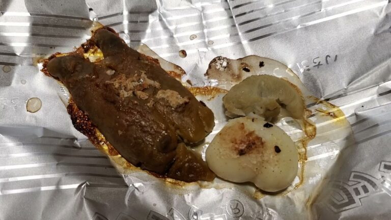 チャレンジ⁉️毎日庭キャンプ飯❗イカの肝　#庭キャンプ　#キャンプ飯　#イカの肝　#毎日家キャン　#飲んだくれる！　#バラエティー増やさなきゃ　#ソロきゃんぱーMARI