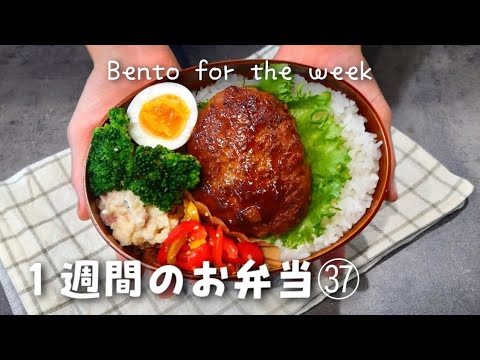 【１週間分のお弁当㊲】今週のおべんとう／ハンバーグ／牛ゴボウ炒め／ねぎ塩レモンetc‥【作り置き活用】