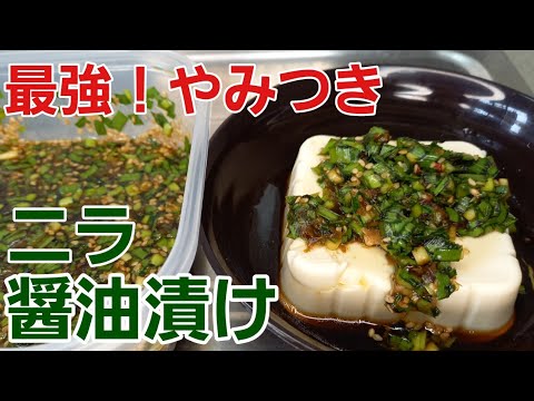 【切って漬けるだけ！】どんな料理でもこれをかければバッチぐー♪︎【ニラ醤油漬け】【野菜レシピ】