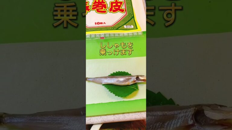ししゃもと大葉の春巻き😋#簡単レシピ 味付けなしやからめっちゃ簡単‼️巻いて揚げるだけ🤩🤩🤩