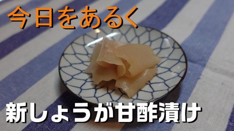 【暮らし 料理】新しょうが甘酢漬け 旬の味 基本の和食 2023 Summer👩‍🍳🎉Vlog 昭和の食卓 アンチエイジング Pickled ginger. Japanese food.