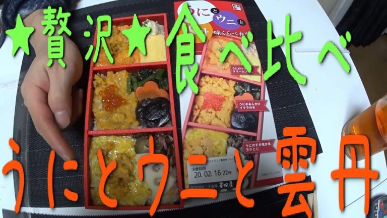 【駅弁】うにとウニと雲丹味比べ弁当を食べてみた【食レポ】#いなと嫁　#駅弁　#食レポ　#おみやげ　#鶏肉　#比内地鶏　#丼ぶり　＃名物　#祭　#東京駅　#駅弁フェア　#駅弁大会
