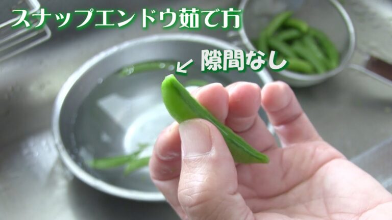 スナップエンドウ🌿茹で方(^^♪旨味やビタミン逃さないSnap beans to keep vitamins