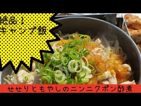 【キャンプ飯】せせりともやしのニンニクポン酢蒸し♥️