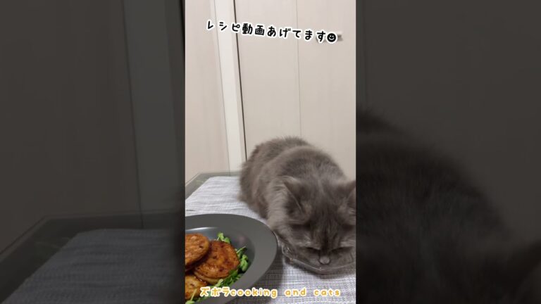 れんこんのはさみ焼きwith cats #shorts