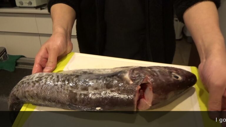 閖上で買ってきた鱈を鱈ちりにした I cooked a Cod fish to hot pot, called Tara Chiri