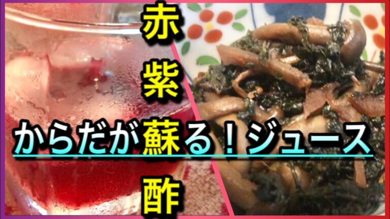【夏の健康ドリンク】赤しそジュース＆シソの葉の佃煮を作る/毎日一杯飲んで体をサビさせない/炭酸割りで爽やか