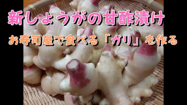 日本の家庭料理、おふくろの味 「新生姜の甘酢漬け」焼きそばやお好み焼き、お寿司には欠かせない新生姜の甘酢漬け、綺麗なピンク色で爽やかでさっぱりとした味わいのお寿司屋さんの「ガリ」