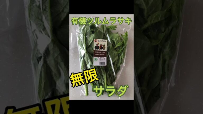 【おおいたの有機】有機ツルムラサキの無限サラダ【簡単レシピ】#shorts