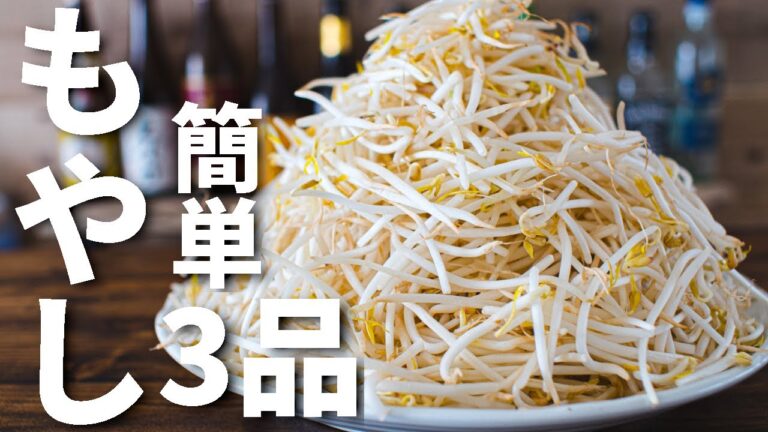 【簡単3品！】もやしを使ったおつまみレシピ～3 bean sprout dishes～