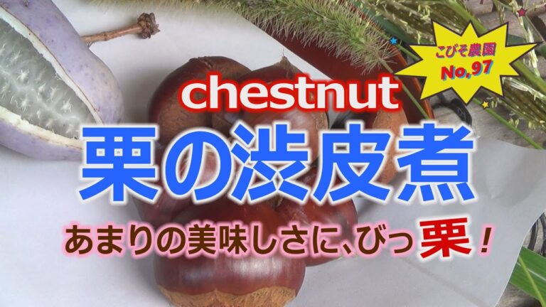 栗の渋皮煮 こびそ農園 No,97