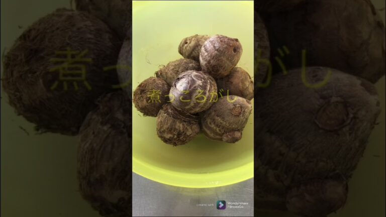 【簡単おつまみ】里芋の煮っころがし　 #shorts