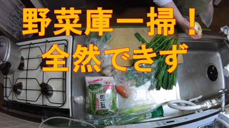 #403【キッチン俯瞰16倍速】夕食作り「春雨入り鶏団子スープ」