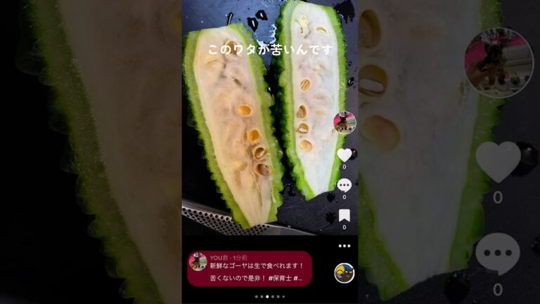 新鮮なゴーヤは生で食べれます！苦くないので是非！#保育士 #調理師 #レシピ #簡単 #料理 #美味しい #グルメ #ゴーヤ #ゴーヤー #ゴーヤサラダ #採れたて
