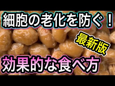 【最新版】納豆の老化を防ぐ2大成分とは！男女ともに嬉しい効果と最強の食べ方【細胞の自食作用とやる気ホルモン】