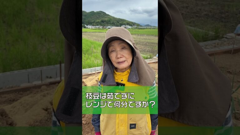 枝豆は茹でずにレンチン。何分ですか？