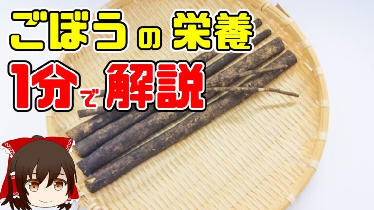 【ゆっくり解説】忙しい人のための『ごぼう』の栄養を1分で解説