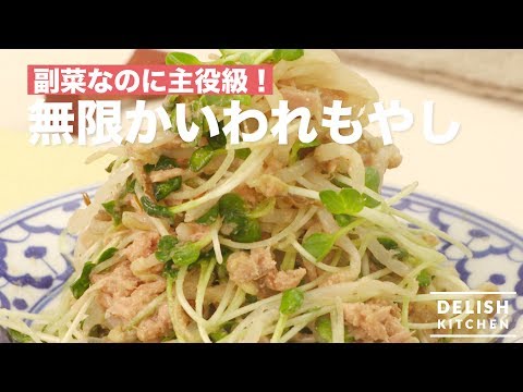 副菜なのに主役級！無限かいわれもやし　｜　How To Make Radish Sprouts & Bean Sprouts
