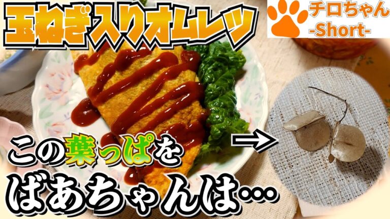 とある日の夕食 ばあちゃん流 オムレツと葉っぱで遊ぶばあちゃんと。４K＃shorts