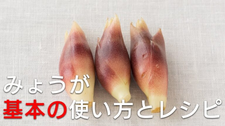 【みょうが 基本の使い方とレシピ】みょうがが加わるだけでいつもの家庭料理が劇的に変わる! みょうがの使いこなし方をレシピと合わせてご紹介します。