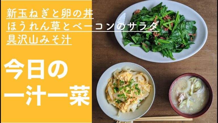 【生配信】今日の一汁一菜（新玉ねぎと卵の丼、ほうれん草とカリカリベーコンのサラダ、新玉ねぎ、なす、豚バラのみそ汁）